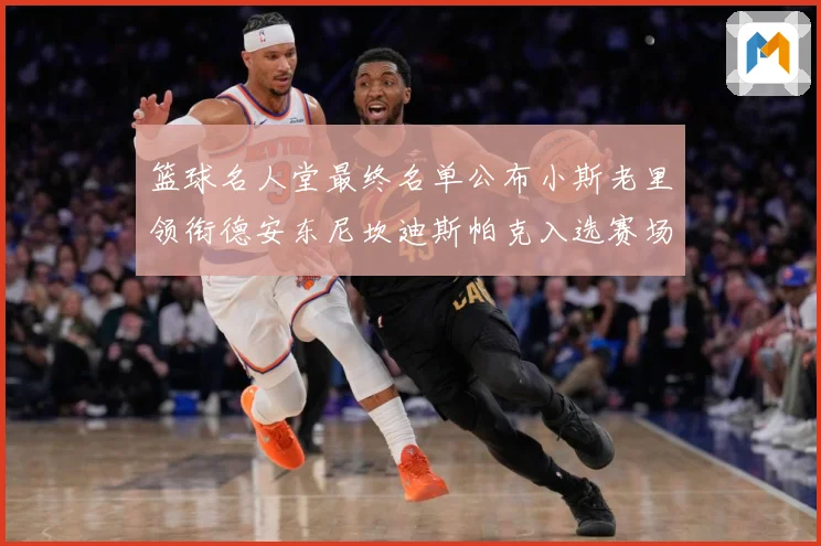 篮球名人堂最终名单公布小斯老里领衔德安东尼坎迪斯帕克入选赛场复盘-深度解析