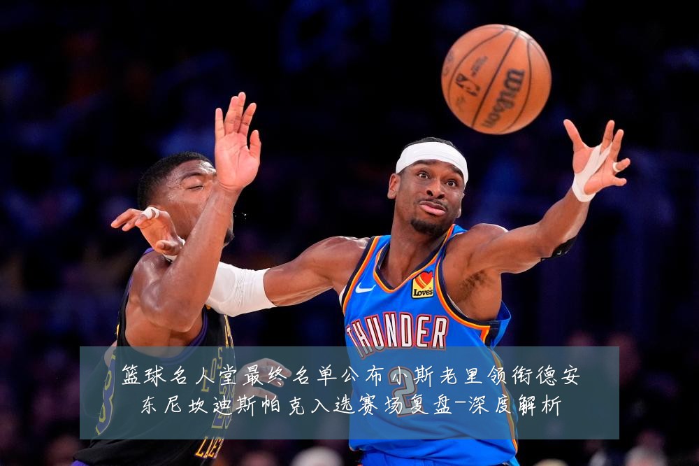 篮球名人堂最终名单公布小斯老里领衔德安东尼坎迪斯帕克入选赛场复盘-深度解析
